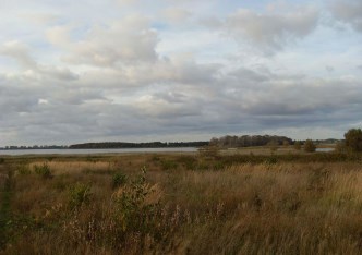 działka na sprzedaż - Kamień Pomorski (gw), Połchowo