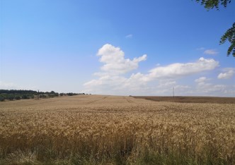 działka na sprzedaż - Kołbaskowo, Siadło Górne