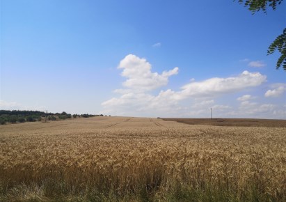 działka na sprzedaż - Kołbaskowo, Siadło Górne