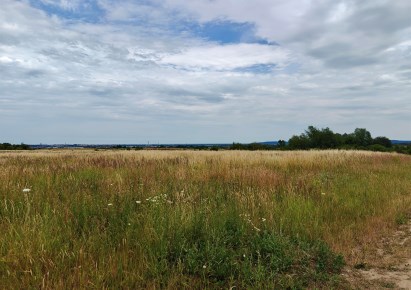 działka na sprzedaż - Kołbaskowo, Karwowo
