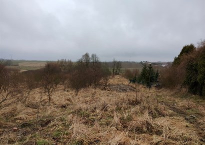 działka na sprzedaż - Kołbaskowo, Siadło Dolne