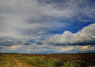 działka na sprzedaż - Kobylanka, Niedźwiedź