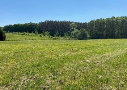 działka na sprzedaż - Stare Czarnowo, Binowo