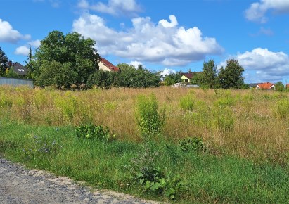 działka na sprzedaż - Dobra (Szczecińska), Mierzyn