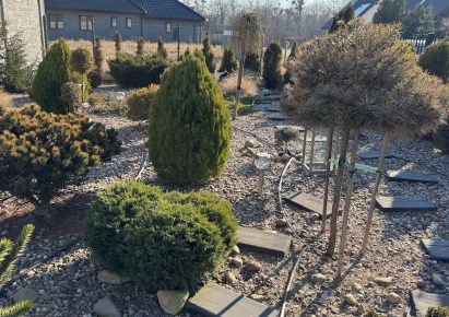 dom na sprzedaż - Pęgów