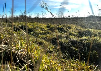 działka na sprzedaż - Gryfino (gw), Stare Brynki