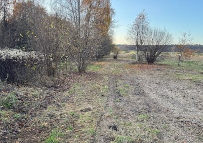 działka na sprzedaż - Oborniki Śląskie, Rościsławice