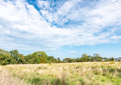działka na sprzedaż - Police (gw), Przęsocin, Kościelna