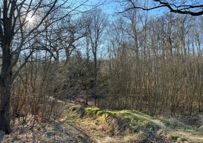 działka na sprzedaż - Szczecin, Prawobrzeże