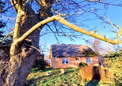 dom na sprzedaż - Płoty (gw), Wytok