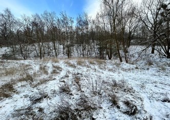 działka na sprzedaż - Gryfino (gw), Czepino