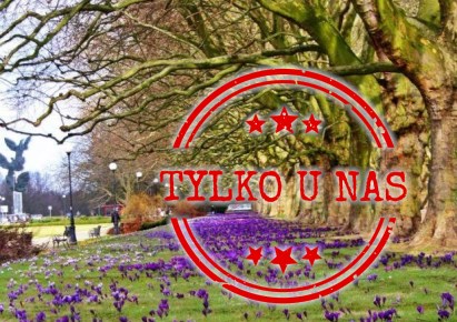 mieszkanie na sprzedaż - Szczecin, Centrum