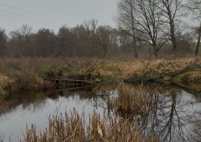 działka na sprzedaż - Widuchowa, Dębogóra