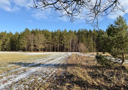 działka na sprzedaż - Bierzwnik, Wygon
