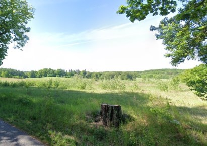 działka na sprzedaż - Węgorzyno (gw), Cieszyno