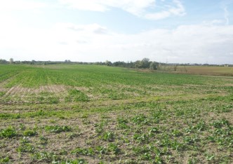 działka na sprzedaż - Kołbaskowo, Ustowo
