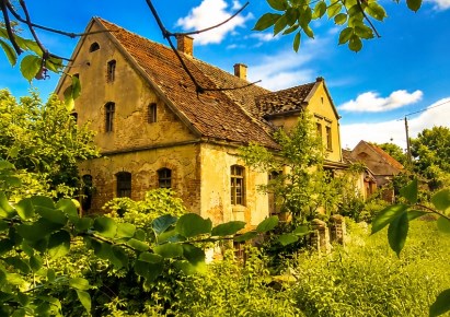 dom na sprzedaż - Pyrzyce (gw), Letnin