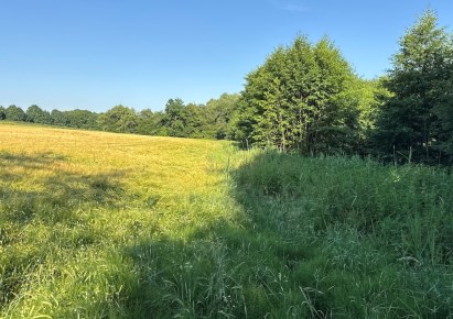 działka na sprzedaż - Oborniki Śląskie, Borkowice