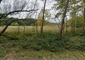 działka na sprzedaż - Nowe Warpno, Karszno