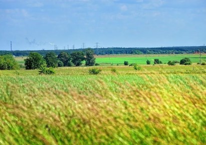 działka na sprzedaż - Dobra (Szczecińska), Rzędziny