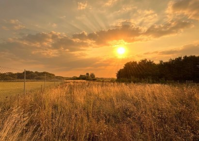 działka na sprzedaż - Gryfino (gw), Żabnica